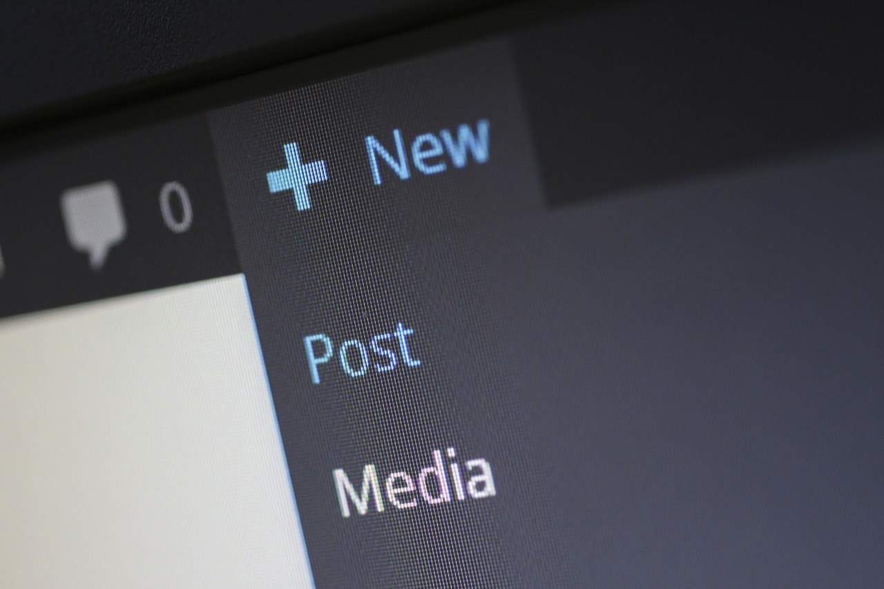 WordPress install plugin page