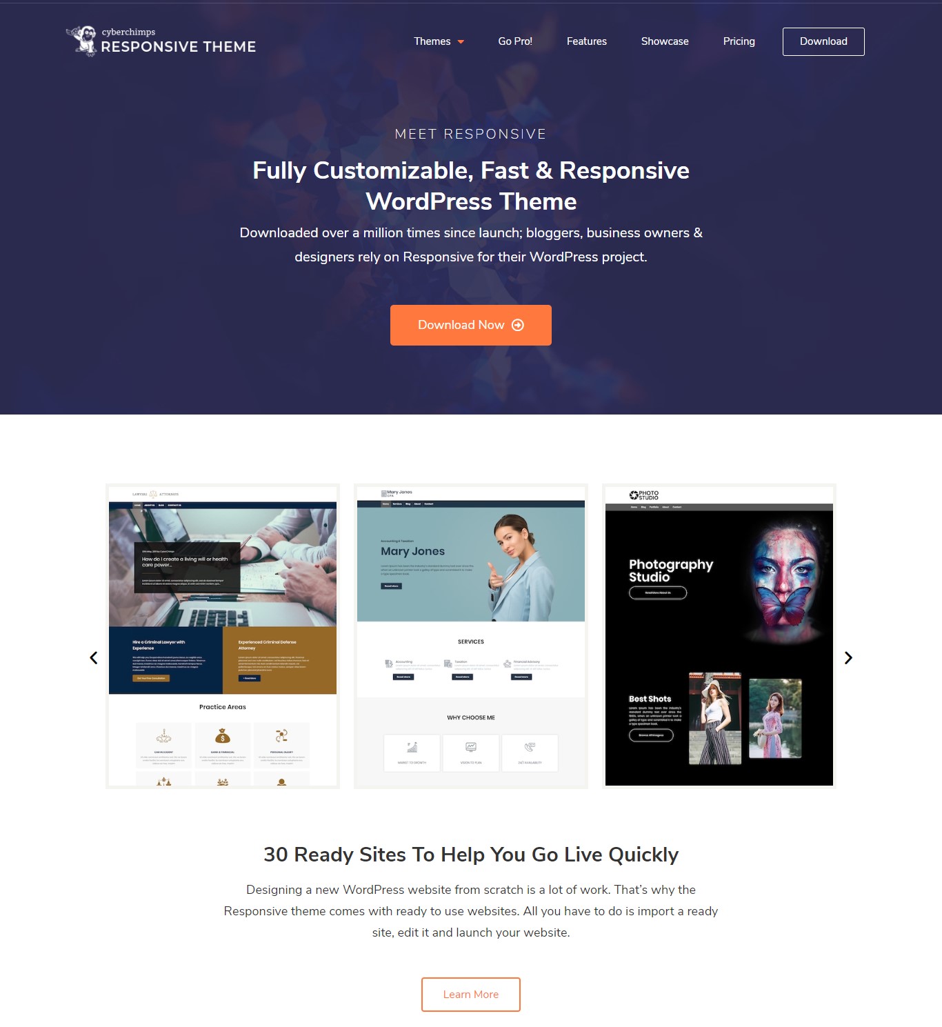 Cyberchimps Responsive theme